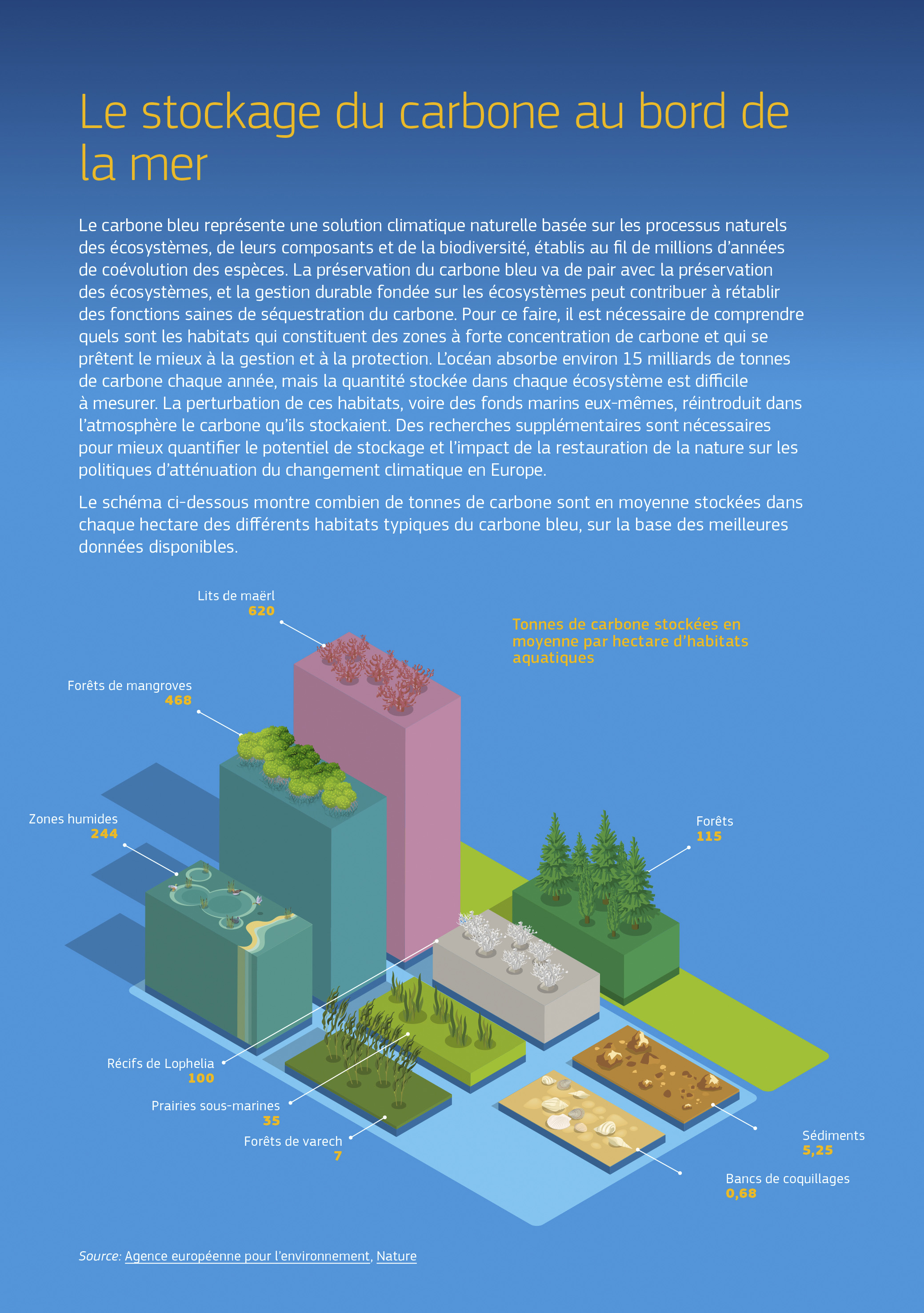 La gestion durable fondée sur les écosystèmes peut contribuer à rétablir un piégeage sain du carbone. La perturbation de ces habitats, voire des fonds marins eux-mêmes, réintroduit dans l’atmosphère le carbone qu’ils stockaient. L’infographie montre combien de tonnes de carbone sont en moyenne stockées dans chaque hectare des différents habitats du carbone bleu, sur la base des meilleures données disponibles. Lits de maërl: 620 tonnes par hectare. Forêts de mangroves: 468; Zones humides: 244; Récifs de Lophelia: 100; Prairies sous-marines: 35; Forêts de varech: 7; Sédiments: 5,25; Bancs de coquillages: 0,68. En comparaison, les forêts stockent en moyenne 115 tonnes de carbone par hectare. La gestion durable fondée sur les écosystèmes peut contribuer à rétablir un piégeage sain du carbone. La perturbation de ces habitats, voire des fonds marins eux-mêmes, réintroduit dans l’atmosphère le carbone qu’ils stockaient. L’infographie montre combien de tonnes de carbone sont en moyenne stockées dans chaque hectare des différents habitats du carbone bleu, sur la base des meilleures données disponibles. Lits de maërl: 620 tonnes par hectare. Forêts de mangroves: 468; Zones humides: 244; Récifs de Lophelia: 100; Prairies sous-marines: 35; Forêts de varech: 7; Sédiments: 5,25; Bancs de coquillages: 0,68. En comparaison, les forêts stockent en moyenne 115 tonnes de carbone par hectare.