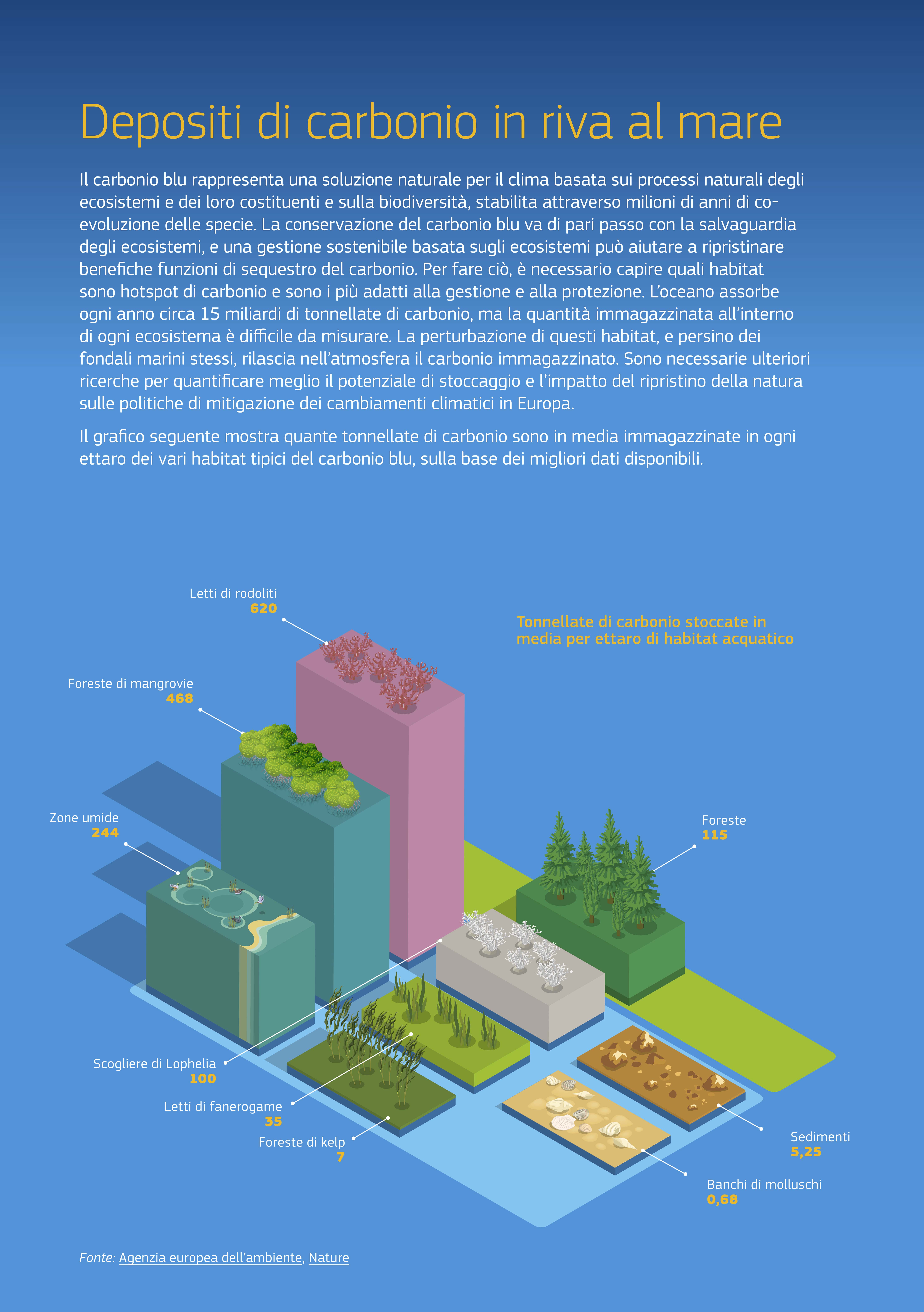 Una gestione sostenibile basata sugli ecosistemi può aiutare a ripristinare un sano sequestro del carbonio. Turbare questi habitat, e persino i fondali marini stessi, provoca il rilascio nell’atmosfera del carbonio immagazzinato. L’infografica mostra quante tonnellate di carbonio sono in media immagazzinate in ogni ettaro dei vari habitat del carbonio blu, sulla base dei migliori dati disponibili. Letti di rodoliti: 620 tonnellate per ettaro. Foreste di mangrovie: 468; Zone umide: 244; Scogliere di Lophelia: 100; Letti di fanerogame: 35; Foreste di Kelp: 7; Sedimenti: 5,25; Banchi di molluschi: 0,68. Per confronto, le foreste immagazzinano in media 115 tonnellate di carbonio per ettaro. Una gestione sostenibile basata sugli ecosistemi può aiutare a ripristinare un sano sequestro del carbonio. Turbare questi habitat, e persino i fondali marini stessi, provoca il rilascio nell’atmosfera del carbonio immagazzinato. L’infografica mostra quante tonnellate di carbonio sono in media immagazzinate in ogni ettaro dei vari habitat del carbonio blu, sulla base dei migliori dati disponibili. Letti di rodoliti: 620 tonnellate per ettaro. Foreste di mangrovie: 468; Zone umide: 244; Scogliere di Lophelia: 100; Letti di fanerogame: 35; Foreste di Kelp: 7; Sedimenti: 5,25; Banchi di molluschi: 0,68. Per confronto, le foreste immagazzinano in media 115 tonnellate di carbonio per ettaro.